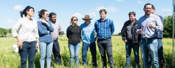 En el Cinturón Verde de Rosario ya se siembra trigo agroecológico